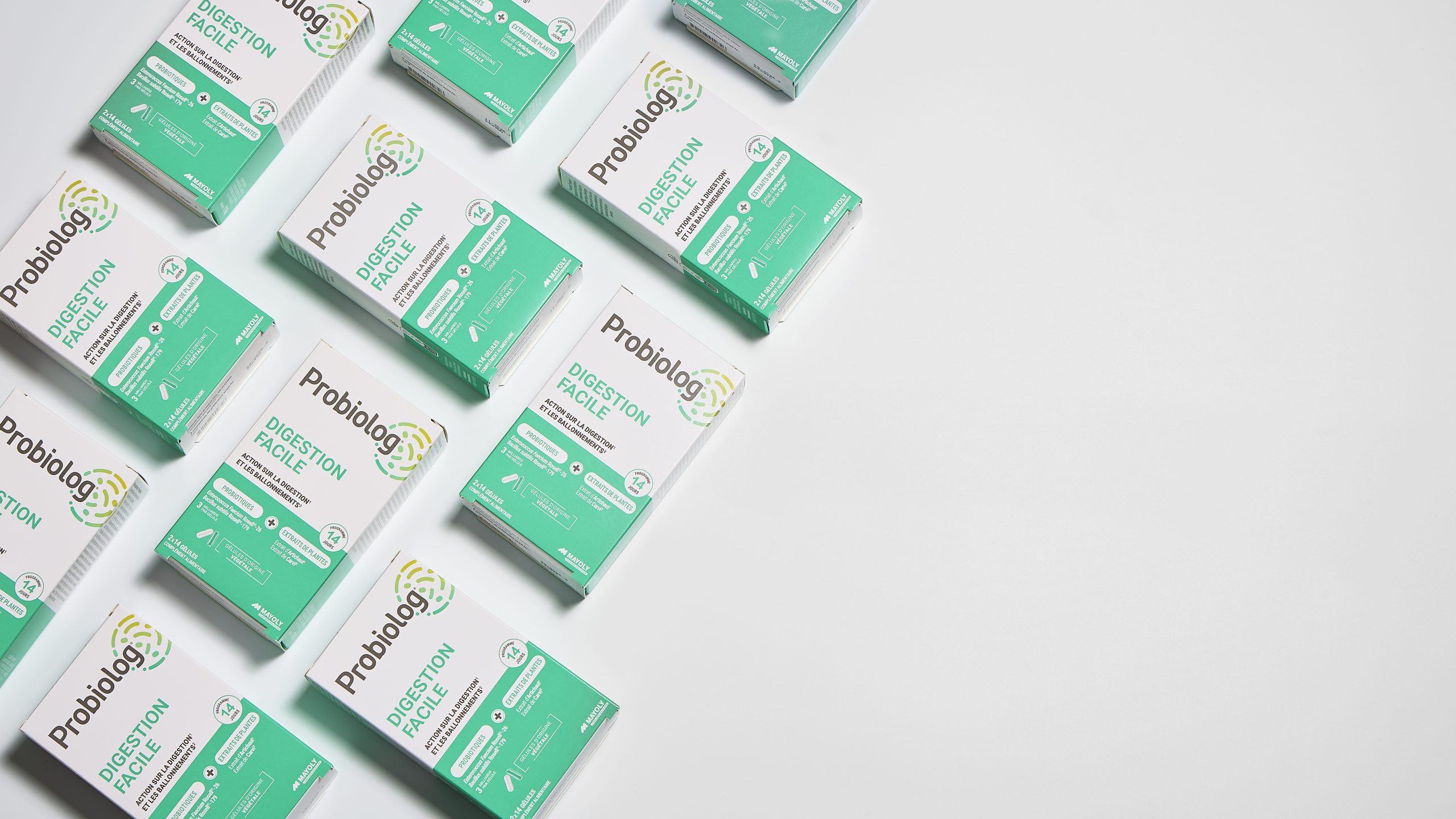 Digestion : (re)trouver l’harmonie quotidienne